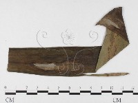 登錄號:F0026346藏品圖，第4張