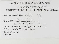 登錄號:F0026348藏品圖，第3張