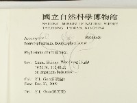 登錄號:F0026349藏品圖，第2張