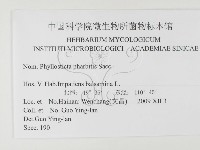 登錄號:F0026349藏品圖，第4張