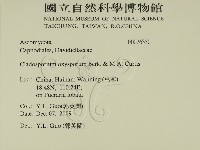 登錄號:F0026350藏品圖，第2張