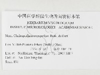 登錄號:F0026350藏品圖，第3張