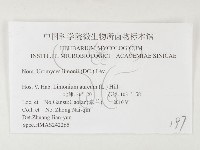 登錄號:F0026354藏品圖，第3張