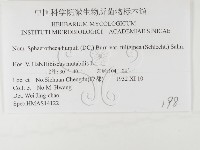 登錄號:F0026355藏品圖，第3張