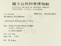 登錄號:F0026356藏品圖，第2張