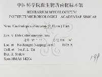 登錄號:F0026356藏品圖，第3張