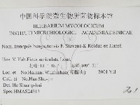 登錄號:F0026357藏品圖，第3張