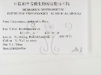 登錄號:F0026359藏品圖，第3張