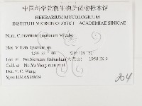 登錄號:F0026360藏品圖，第3張