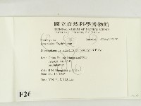 登錄號:F0026361藏品圖，第2張