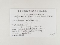 登錄號:F0026361藏品圖，第3張