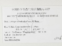 登錄號:F0026362藏品圖，第3張