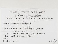 登錄號:F0026363藏品圖，第3張