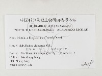 登錄號:F0026364藏品圖，第3張