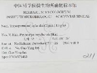 登錄號:F0026366藏品圖，第3張