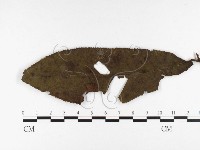 登錄號:F0026366藏品圖，第4張