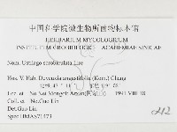 登錄號:F0026367藏品圖，第3張