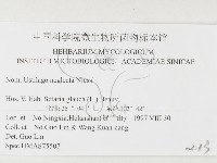 登錄號:F0026368藏品圖，第3張