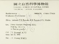 登錄號:F0026370藏品圖，第2張