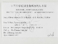 登錄號:F0026370藏品圖，第3張