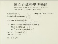登錄號:F0026371藏品圖，第2張