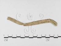 登錄號:F0026371藏品圖，第1張