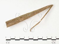 登錄號:F0026372藏品圖，第4張