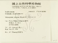 登錄號:F0026373藏品圖，第2張