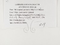 登錄號:F0026373藏品圖，第3張