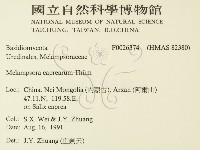 登錄號:F0026374藏品圖，第2張