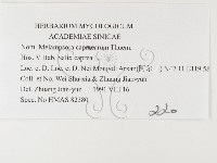 登錄號:F0026374藏品圖，第3張