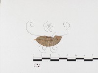 登錄號:F0026374藏品圖，第1張