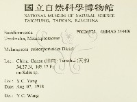 登錄號:F0026375藏品圖，第2張