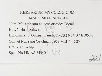 登錄號:F0026375藏品圖，第3張