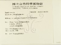 登錄號:F0026376藏品圖，第2張