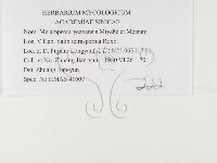 登錄號:F0026376藏品圖，第3張