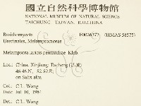 登錄號:F0026377藏品圖，第2張
