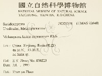 登錄號:F0026378藏品圖，第2張