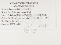 登錄號:F0026379藏品圖，第3張