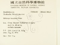 登錄號:F0026383藏品圖，第2張