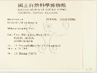 登錄號:F0026384藏品圖，第2張