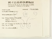 登錄號:F0026385藏品圖，第2張