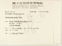 登錄號:F0026386藏品圖，第2張