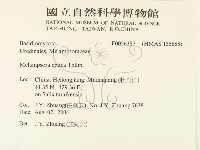 登錄號:F0026387藏品圖，第2張