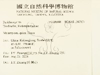 登錄號:F0026388藏品圖，第2張