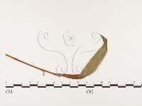 登錄號:F0026388藏品圖，第1張