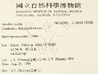 登錄號:F0026390藏品圖，第2張