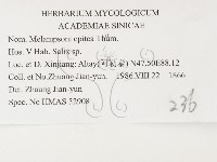 登錄號:F0026390藏品圖，第3張