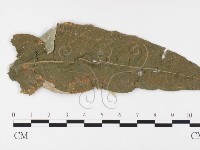 登錄號:F0026390藏品圖，第1張