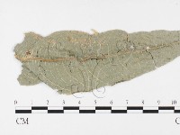 登錄號:F0026390藏品圖，第4張